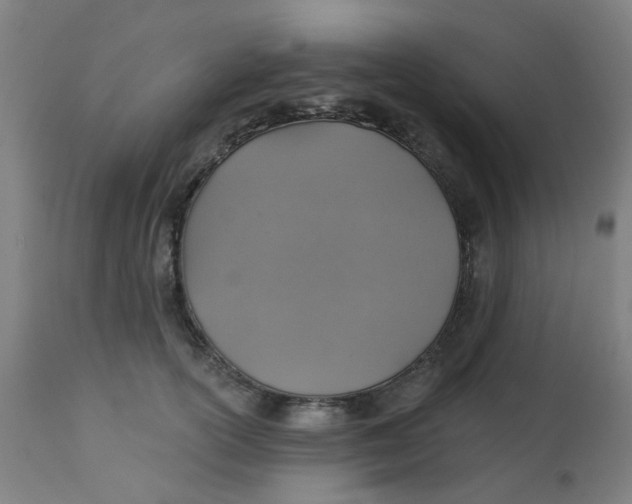 X0000113230754200910081405