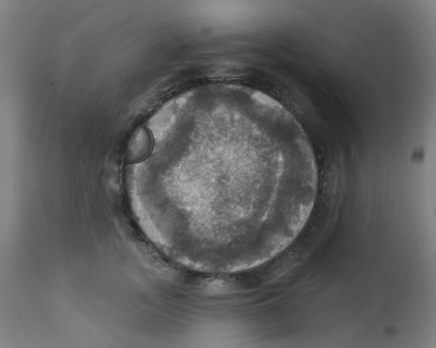 X0000113230755200910081405