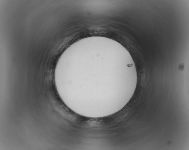 X0000113230756200910081405