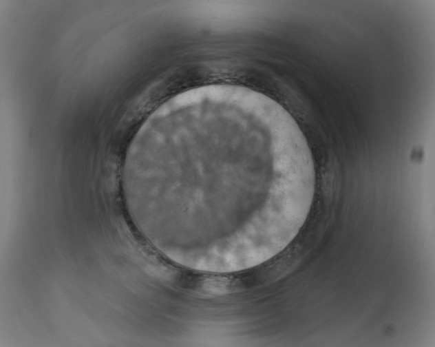 X0000113230757200910081405