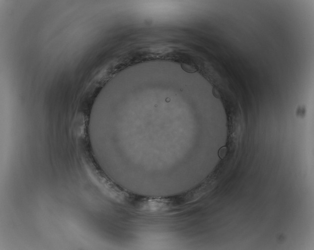 X0000113230758200910081405