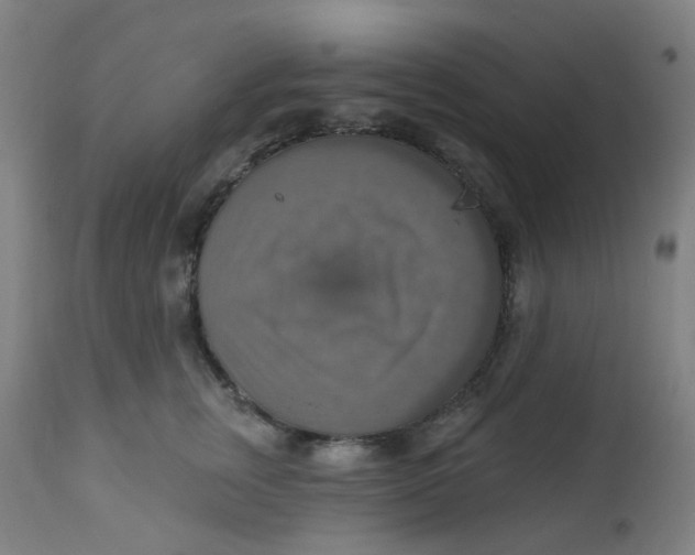 X0000113230759200910081405