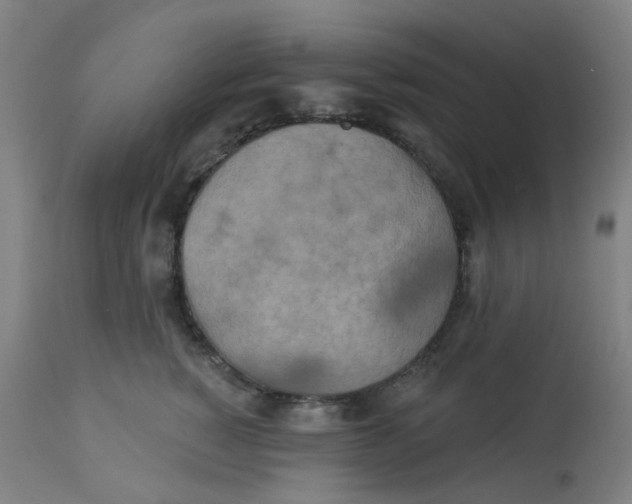 X0000113230760200910081405