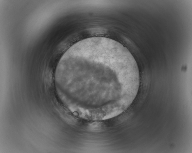 X0000113230761200910081405