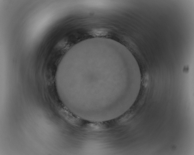 X0000113230763200910081405