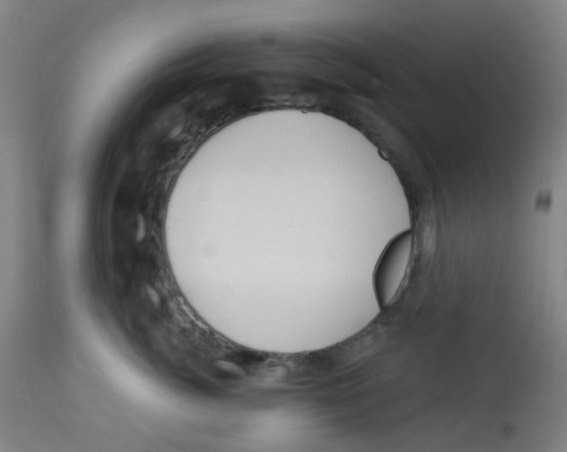 X0000113230764200910081405