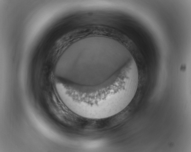 X0000113230765200910081405