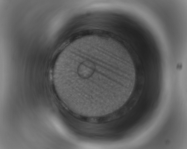 X0000113230766200910081405