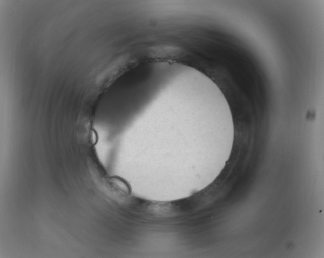 X0000113230767200910081405