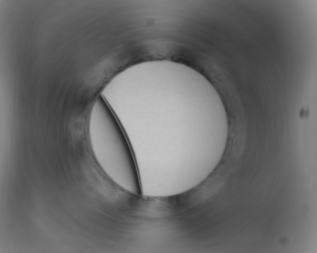 X0000113230768200910081405