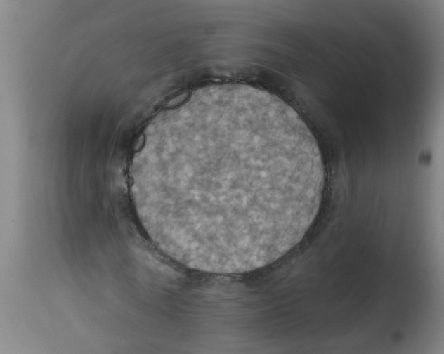 X0000113230770200910081405