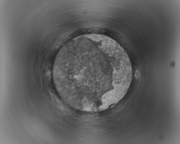 X0000113230771200910081405