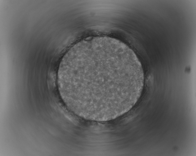 X0000113230772200910081405