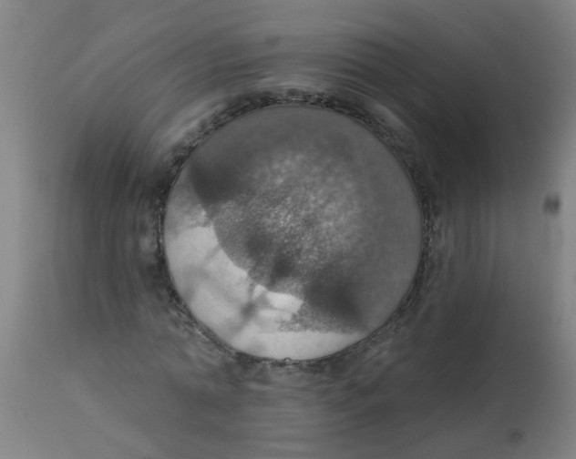 X0000113230774200910081405