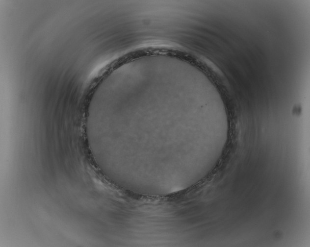 X0000113230775200910081405