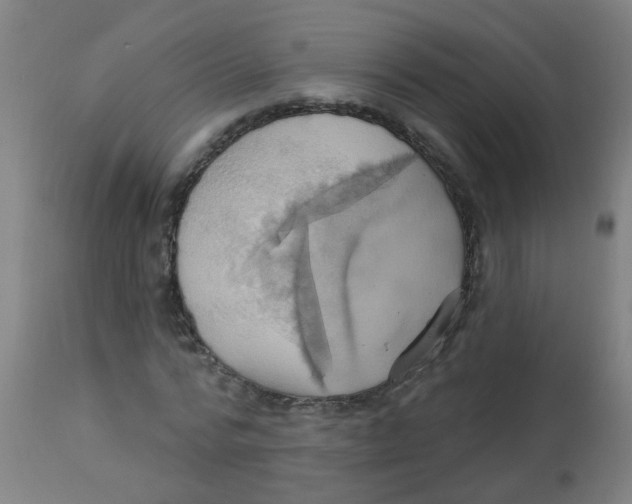 X0000113230776200910081405