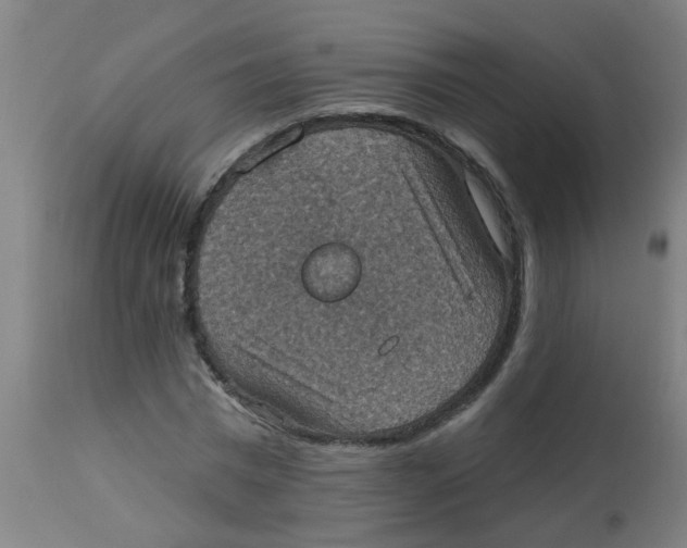 X0000113230777200910081405