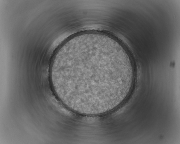 X0000113230778200910081405