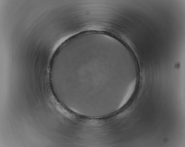 X0000113230779200910081405