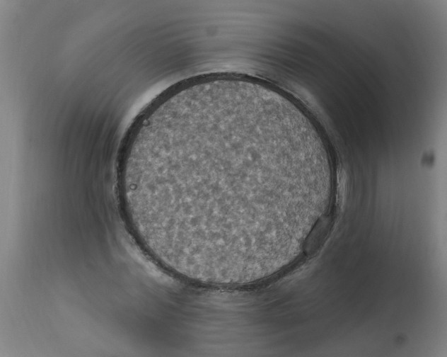 X0000113230780200910081405