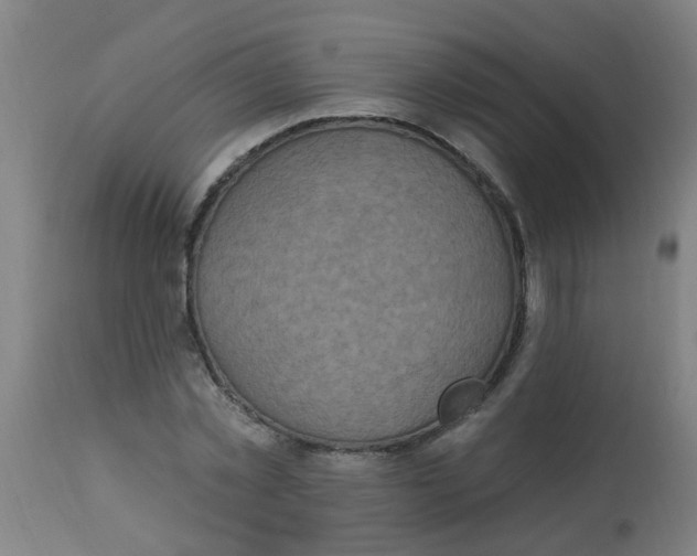 X0000113230781200910081405