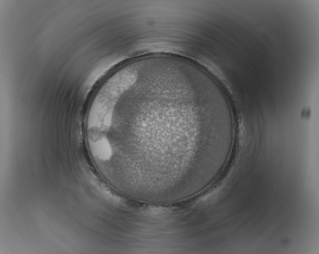 X0000113230782200910081405