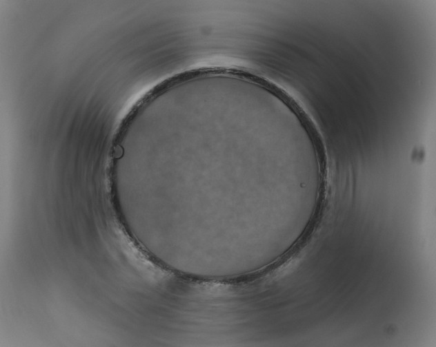 X0000113230783200910081405