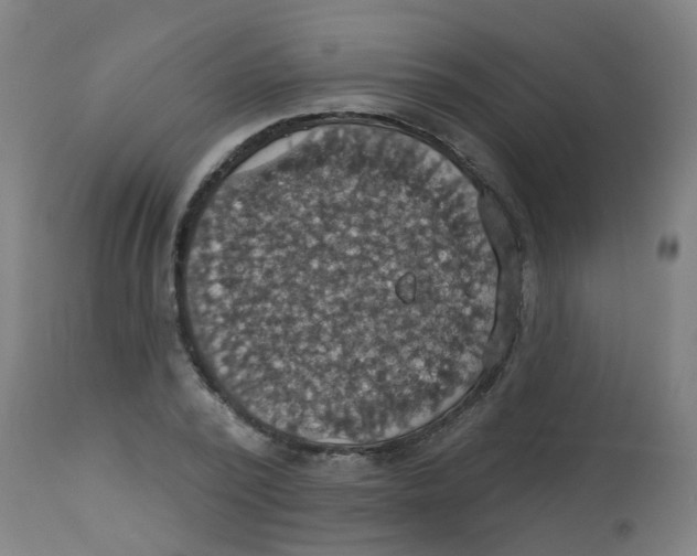 X0000113230784200910081405