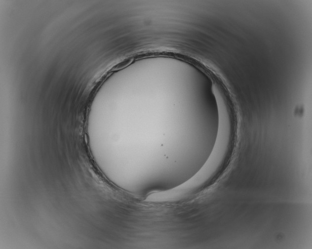 X0000113230785200910081405