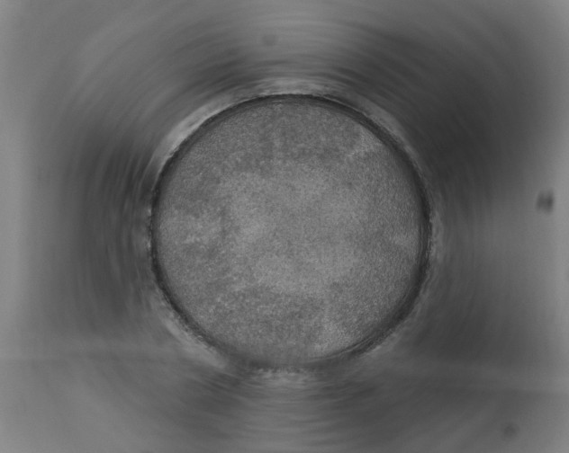 X0000113230786200910081405