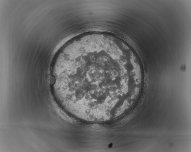 X0000113230787200910081405