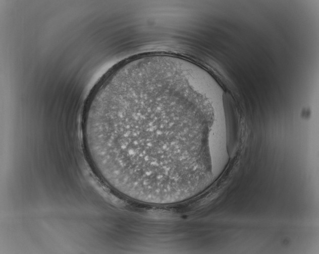 X0000113230788200910081405