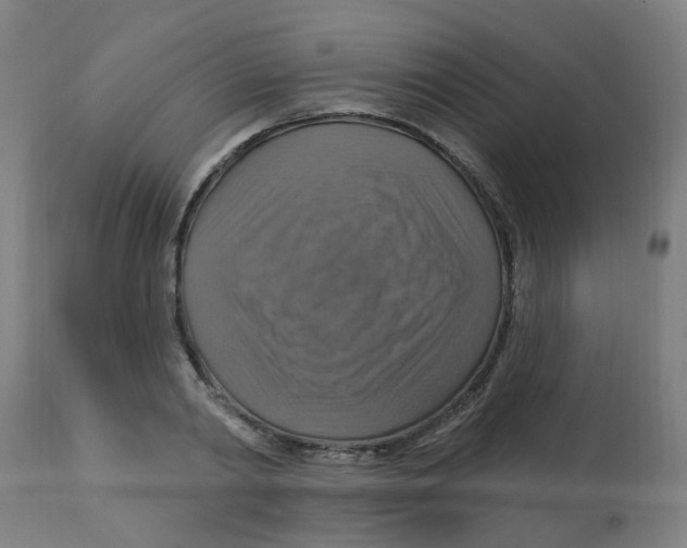 X0000113230790200910081404