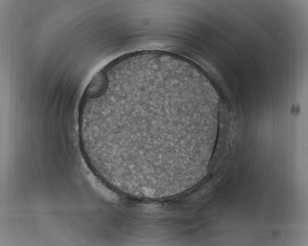 X0000113230792200910081404