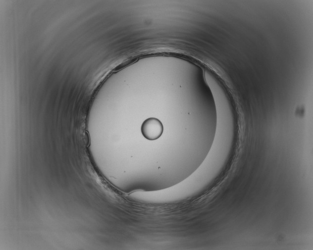 X0000113230793200910081404