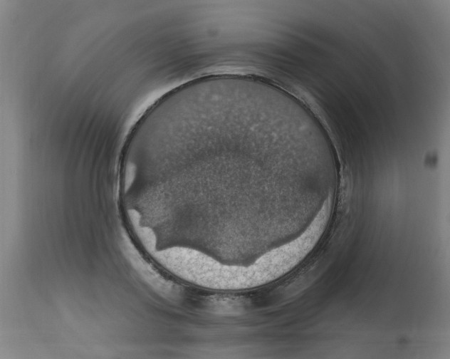 X0000113230795200910081404