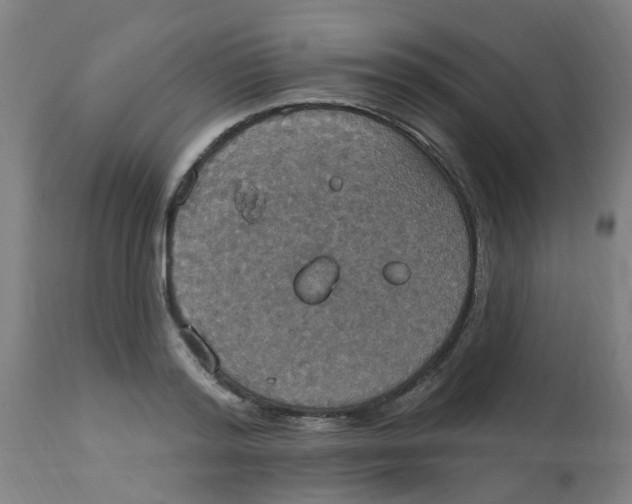 X0000113230796200910081404