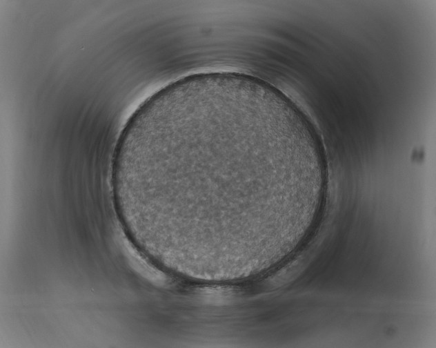 X0000113230797200910081404