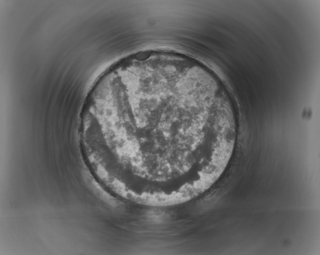 X0000113230799200910081404