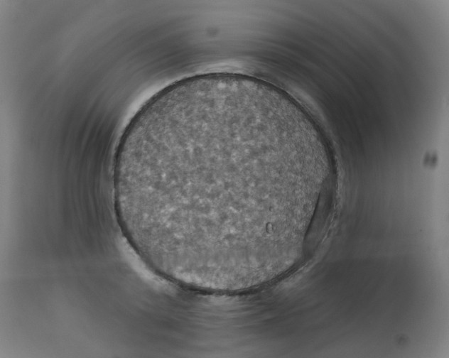 X0000113230800200910081404