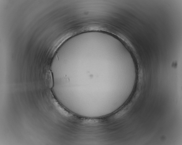 X0000113230801200910081404