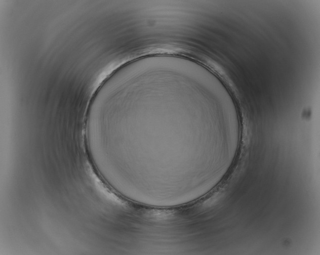 X0000113230802200910081404