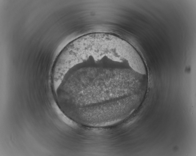 X0000113230803200910081404