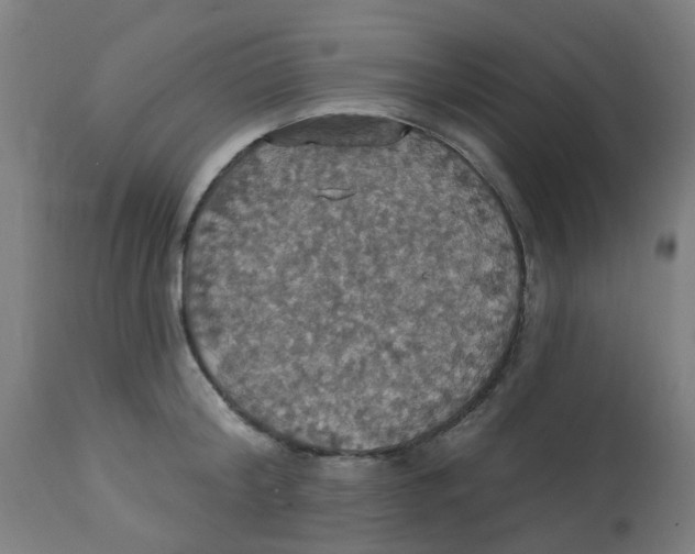 X0000113230804200910081404