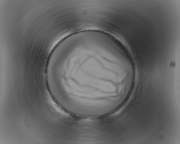 X0000113230806200910081404