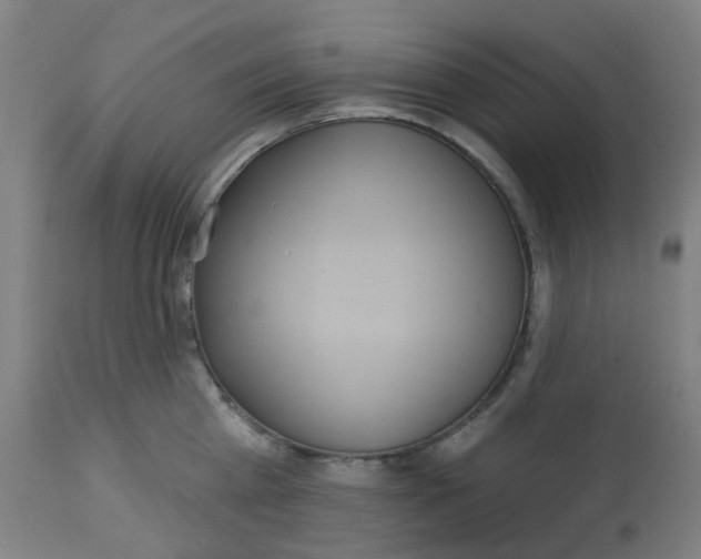 X0000113230809200910081404