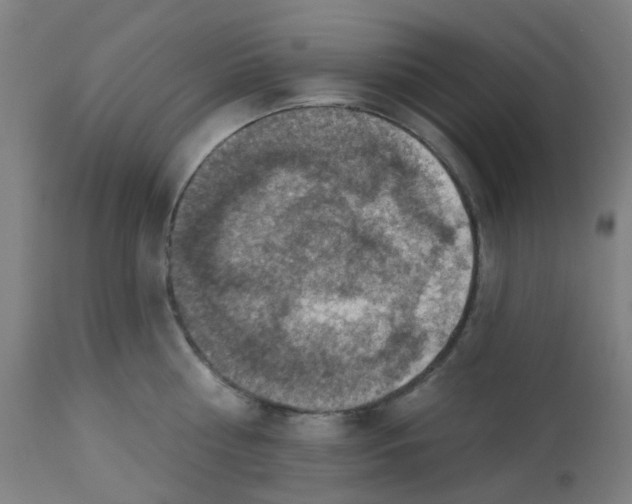 X0000113230810200910081404