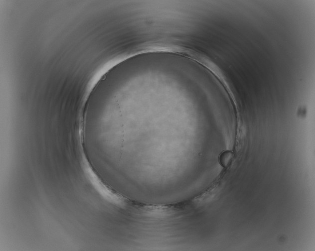 X0000113230811200910081404