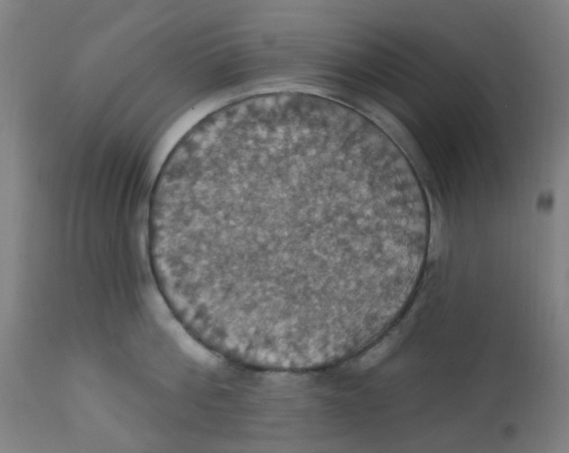 X0000113230812200910081404