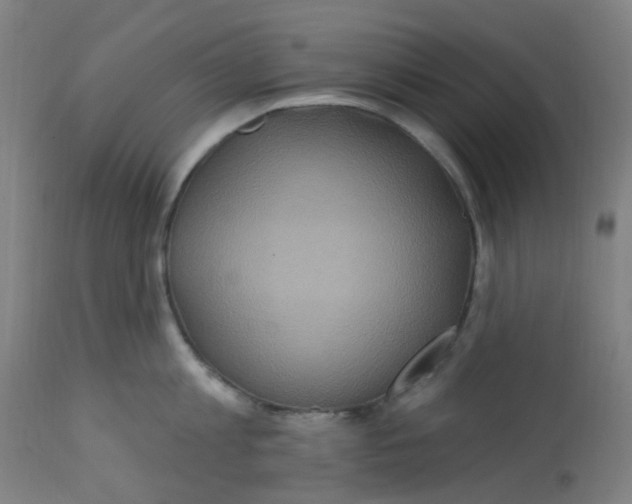 X0000113230813200910081404